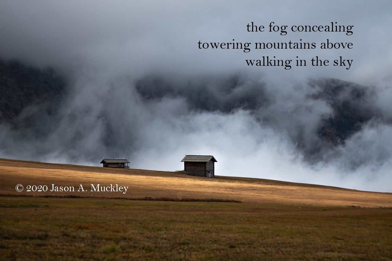 concealed_davindiovich-mountains-fog-hut-pixabay